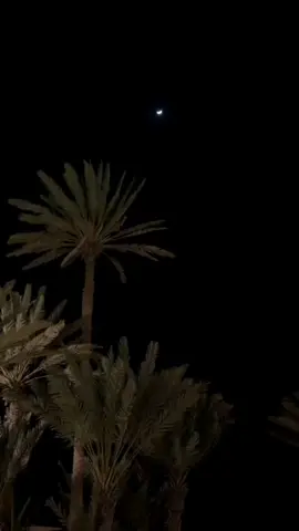 #فلاح_المسردي 