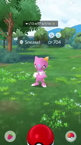 #pokemonchannel #shiny #mobilegame #pokemongo 