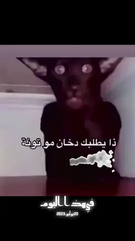 #في هذا اليوم 