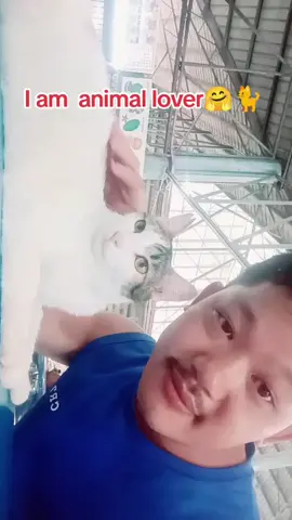 I am an animal lover🐈️🤗🤝😍😘#cat 
