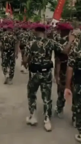Marinir Muda #komando #marinir #hantulaut #kopassus #hanturimba #kopasgat #hantulangit 