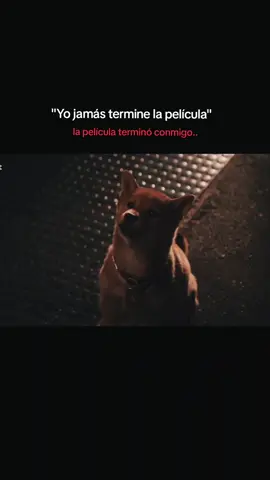 #hachiko #siempreatuladohachiko #hachikoedit #tristeza #peliculas #historiareal La historia real de HACHIKO, El perro que espero a su año por casi 10 años 