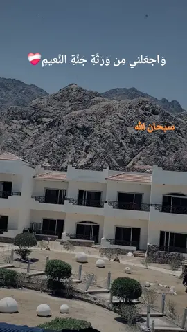 #قران_كريم #يارب_فوضت_امري_اليك #ربي #ا #اللهم_لك_الحمد_ولك_الشكر 