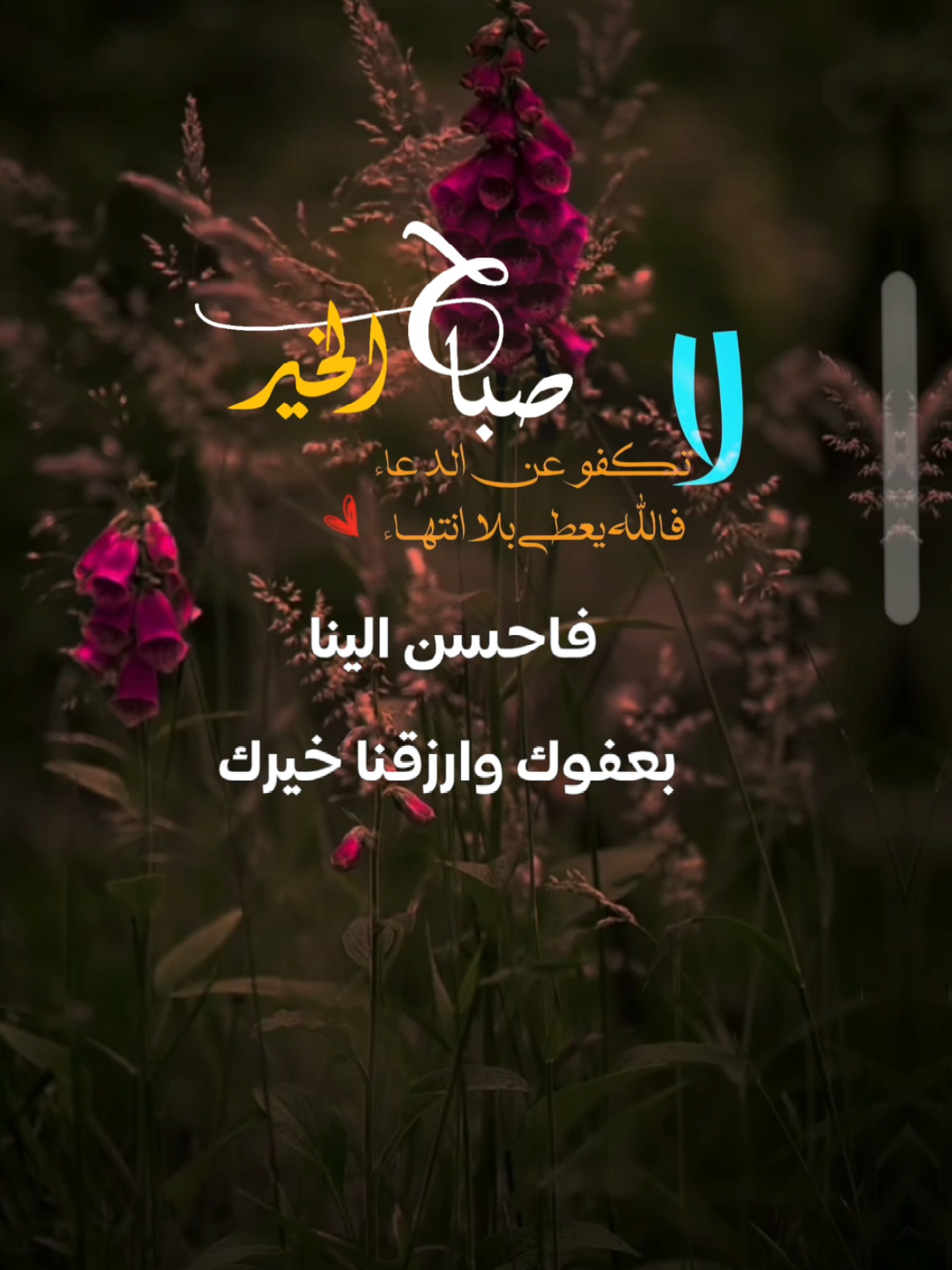 يارب هذا صباحك قد أشرق ونحن عبادك قد سعينا إليك بالدعاء فأحسن إلينا بعفوك ،،وأرزقنا خيرك،، وأختر لنا مايسعدنا ويرضيك،،، صباح الخير #صباح_الخير #صباحكم_معطر_بذكر_الله#طبتم_وطـآبت_أوقـآتگم #اسعد_الله_صباحكم_بكل_خير #اليقين_بالله_يصنع_العجائب #الدعاء_يغير_القدر #يارب#يارب_انت_الفتاح_العليم #مقاطع_دينية#دعاء #الله#يارب #اللهم_صلي_على_نبينا_محمد #دعاء 