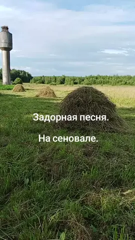 #Красивая задорная песня #на сеновале #