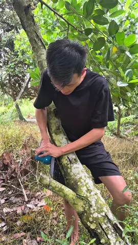 Cưa điện tiện lợi 🍃  #Cuadien #Cuamakita #Cuadiengiare #Maycuamini 