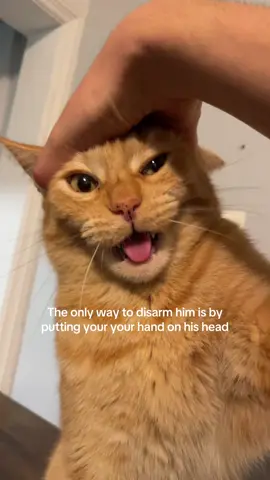 He won in the end 