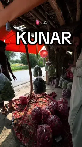 #وطن #afghanistan #🇦🇫 