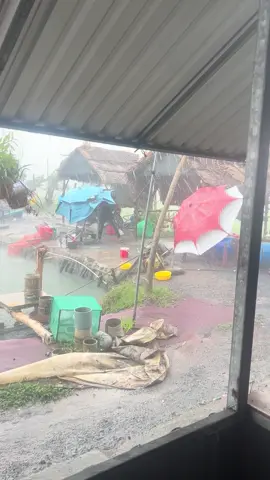 Cập nhập thông tin ở chỗ ae đi @hồ câu cá huỳnh gia 