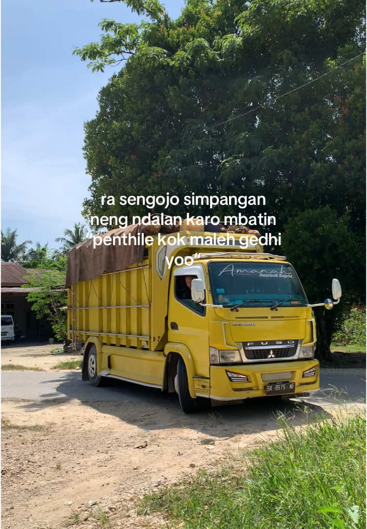 biyuh ndak umum pak😆 @yellow_original866 #storytruck #truksawit #sawitbalap 