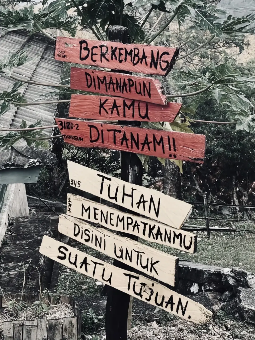 Bismillah ☝🏼😇