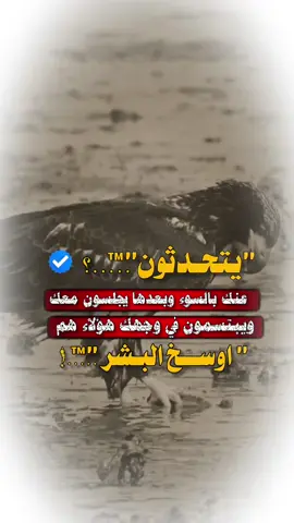 #استوريهات  #مجرد________ذووووووق🎶🎵 #عبارات_جميلة_وقويه😉🖤 #اكسبلورexplore #fypシ゚viral🖤tiktok☆♡🦋myvideo 