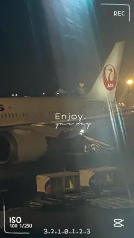 First experience, with Japan airlines..#japanairlines #JAL #japan2025🇯🇵 