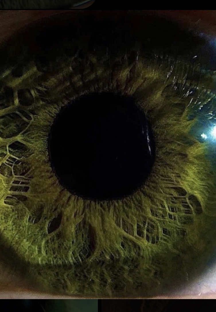 Bakamamak mümkün değil  #kesfet #fyp #greeneyes #kesvettt #eyes 
