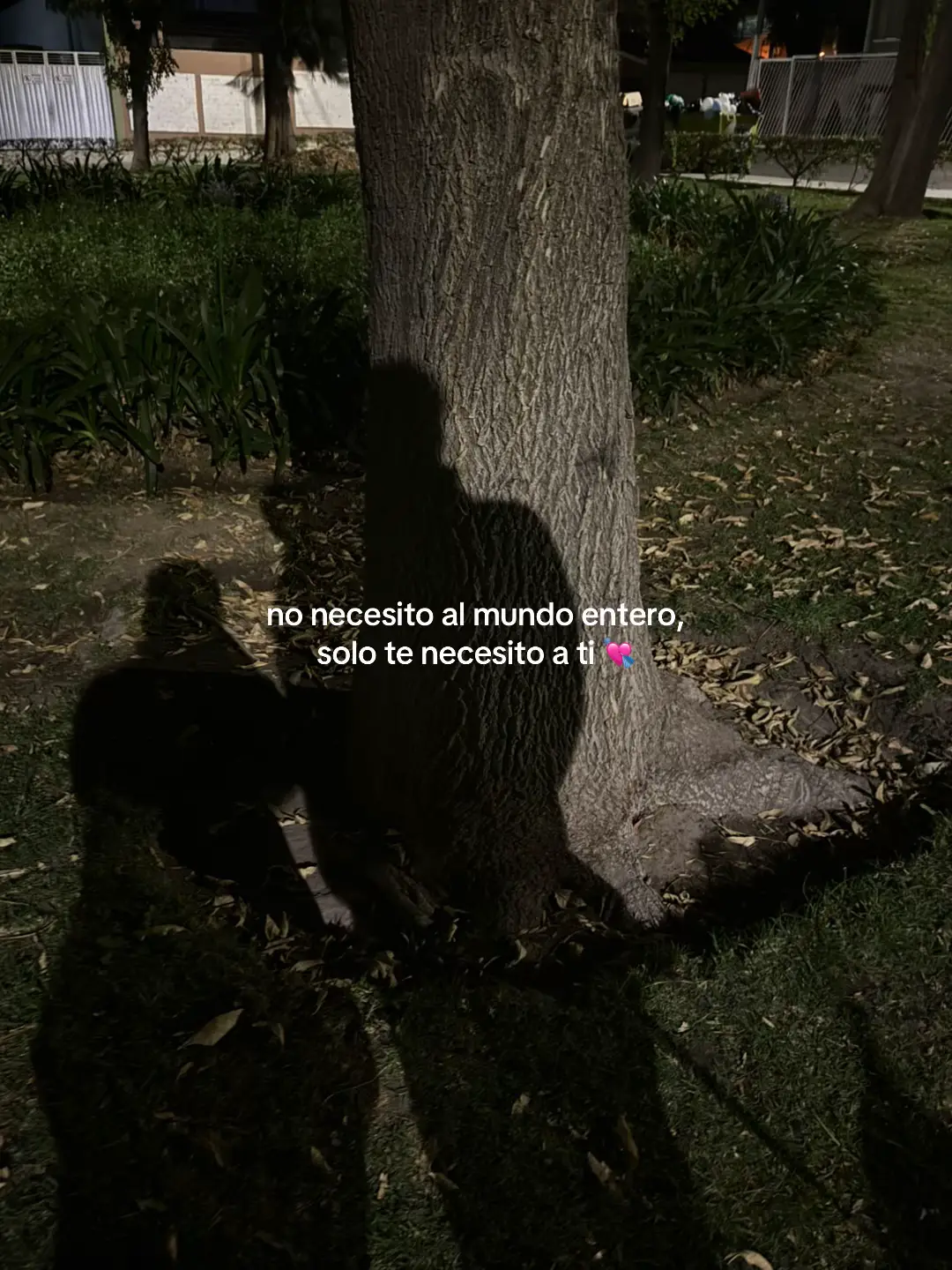 @Nevanex  . . . . . #paratii #yo #viral #ola #amor #teamo 