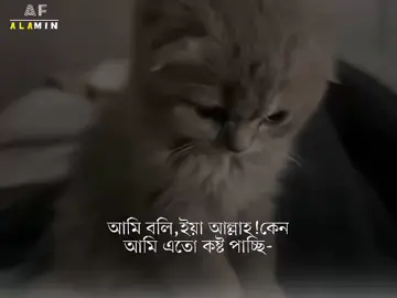 অচিরেই তোমার সকল দুঃখ কষ্ট আনন্দে পরিনত হবে!! #islamic_diary3 #alaminofficial2 #alaminofficial0 #allah 