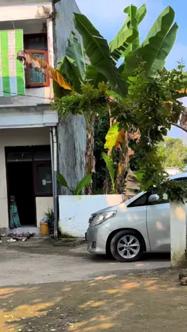 masyaallahtabarakkallah🤍#kyai#pondokpesantren 