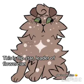 Might make this a series since it’s motivating me to draw more and I also love telling people about my oc’s. But here is flipstar isn’t she so cute <3 #warriorcat #warriorcatoc #fyp #warriorcatart ##speedpaint