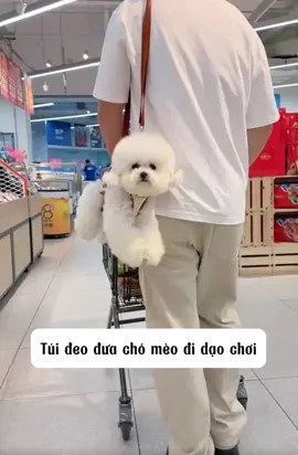 Túi đeo chéo đưa chó mèo đi dạo phố, sen rãnh tay quá khỏe nè #tuiduachomeodidaopho #tuivanchuyenchomeo #thucung #xuhuong  @Happy.Pets  @Happy.Pets  @Happy.Pets 