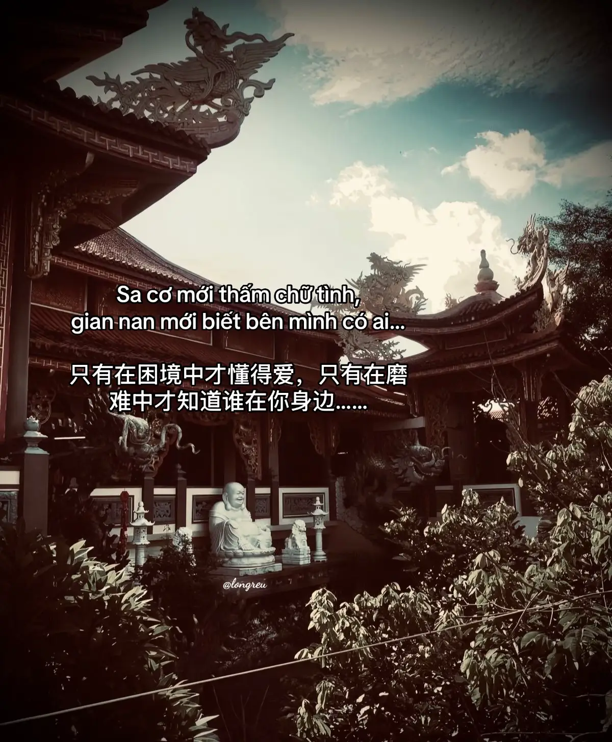 Sa cơ mới thấm chữ tình, gian nan mới biết bên mình có ai… 只有在困境中才懂得爱，只有在磨难中才知道谁在你身边……#fypシ #doisong #longreu #tamtrang #xuhuongtiktok #thinhhanh 