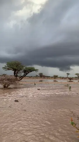 #امطار 🌧️⛈️