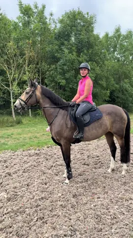 We had to try the trend with Africa’s Dam - Gin!! 🐎💨 #equestrian #equine #TeamTGF #trending #bugatti #iwokeupinanewbugatti #horse @IronHorseSaddlery @BigV @Jo Hopgood 