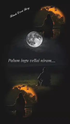 #CapCut 🥀✨🖤