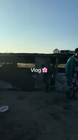 Thank you so much for all the love on my home vlogs ♥️ #ezilalini #Vlog #fyp #trending #dayinmylife 
