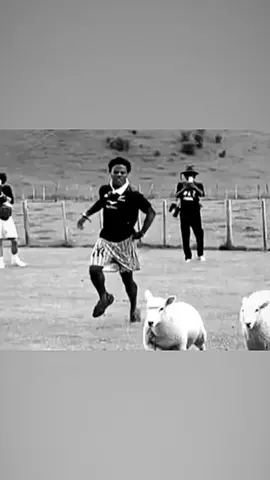 حلوه حلوه بالحيل.!#foryoupage #typ #viral #messi #🇦🇷 