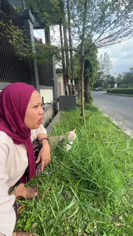 Selamat sore.. semoga kalian suka sama videonya❣️☺️