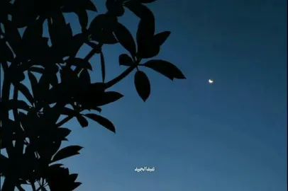 بصيت في عيون حبيبتى