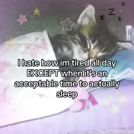 school is going to be hell | #fyp #targetaudience #xyzbca #secretaccount #sleep #cats #dogs #sleepdeprived #allnighters #ao3 #sleepschedule #😼 