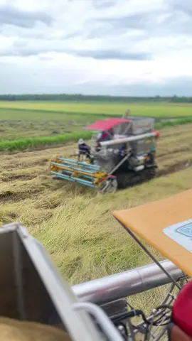นี่มันทางของอำนวยของผมนี่จะหยิบแต่เเจเลื่อน🤣🌾#แก๊งงค์ลุงหนวด #อู่เล็กๆเด็กๆทำ #อํานวยการช่าง🌾✌🏻 #วัยรุ่นไทยเจริญ🌾🌾 #ฟีดดดシ 