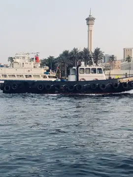 🌸#foryoupage #dubai🇦🇪 