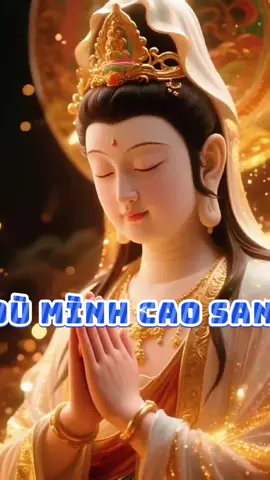 Dù mình cao sang đừng mang đau khổ cho người#adidaphat #phapthoai #nhacphat #hocphat #songcham 