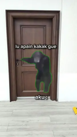 Adek harus jaga kakaknya#memekucing #memelucu #viral #fyp 