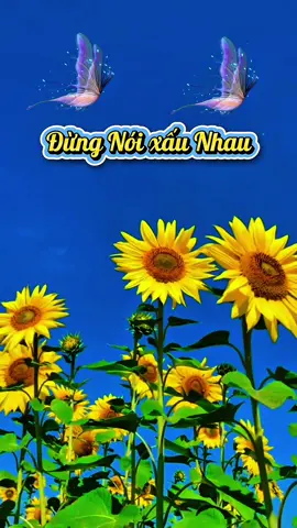Đừng Nói Xấu Nhau #yeuthuongmoingay❤️❤️❤️ #yeuthuongmoinguoi #nhanquacongbang 