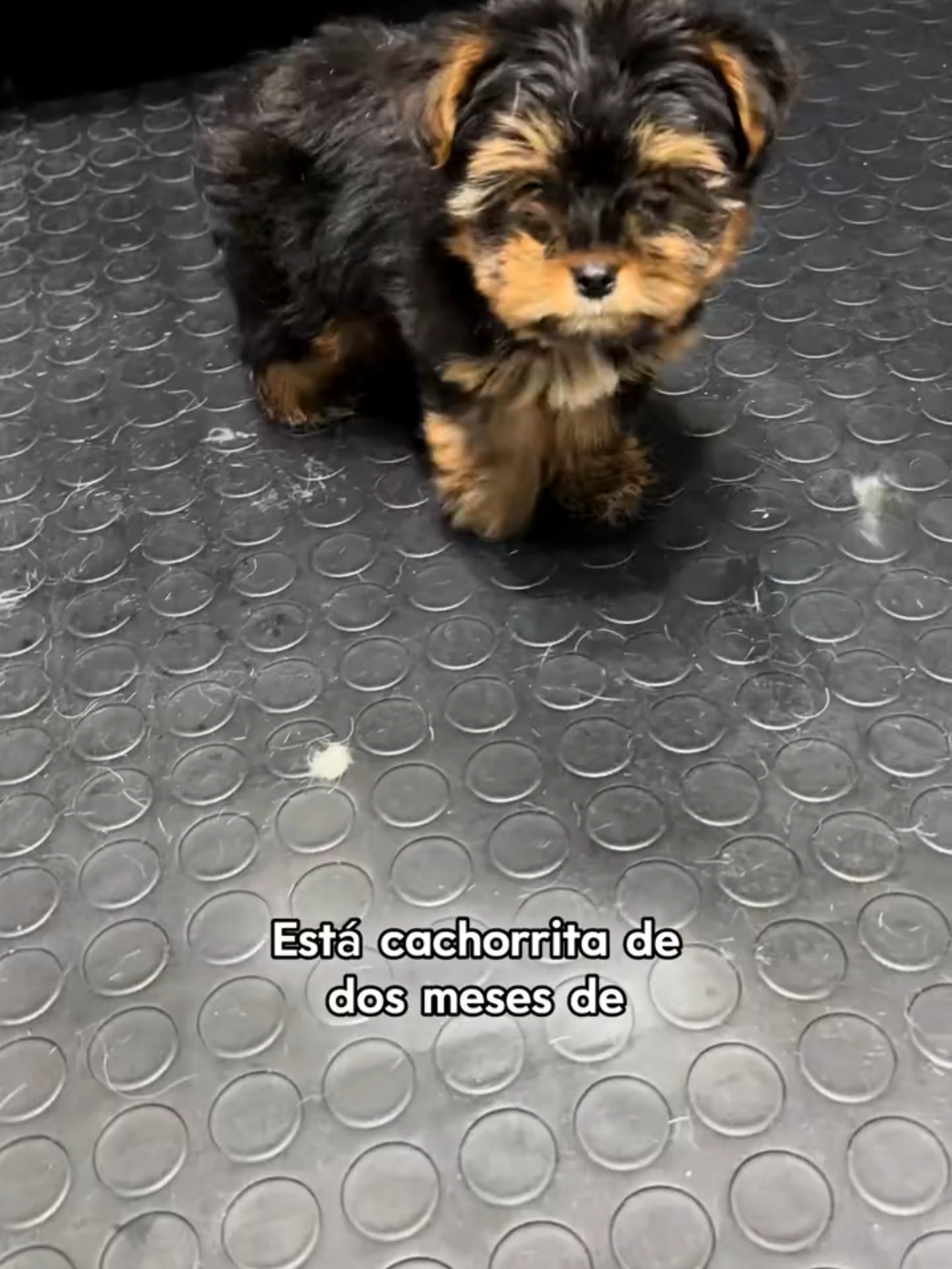 PRIMER BAÑITO