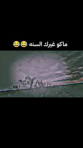 منو يعرف اسم الطائر 🤔 #الشعب_الصيني_ماله_حل😂😂 #مشاهير_تيك_توك #متابعه_ولايك_واكسبلور_احبكم 