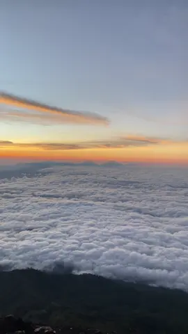 slamet dengan lautan awannya ⛰️🌥️💫 #gunungslamet #mountslamet #slametviabambangan #slamet3428mdpl #pendakigunung 