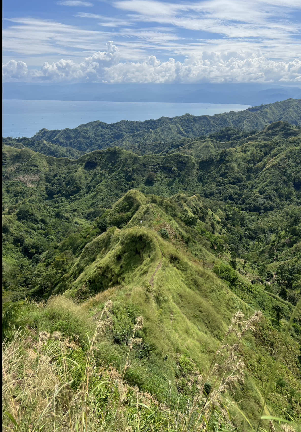 Ternyata ada perbukitan yang mirip Sumba, Toraja, dan Labuhan Bajo di Geopark Ciletuh, kalian udah pernah kesini kah? 📍Bukit Tumpeng, kab Sukabumi, Jawa Barat #bukittumpeng #wonderfulindonesia #pesonaindonesia #geparkciletuh #sukabumi #wisatasukabumi #exploresukabumi #jawabarat 