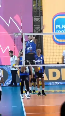 #boy_arnez#catsoftiktok #xuhuongtiktok #volleyball #🇵🇱 