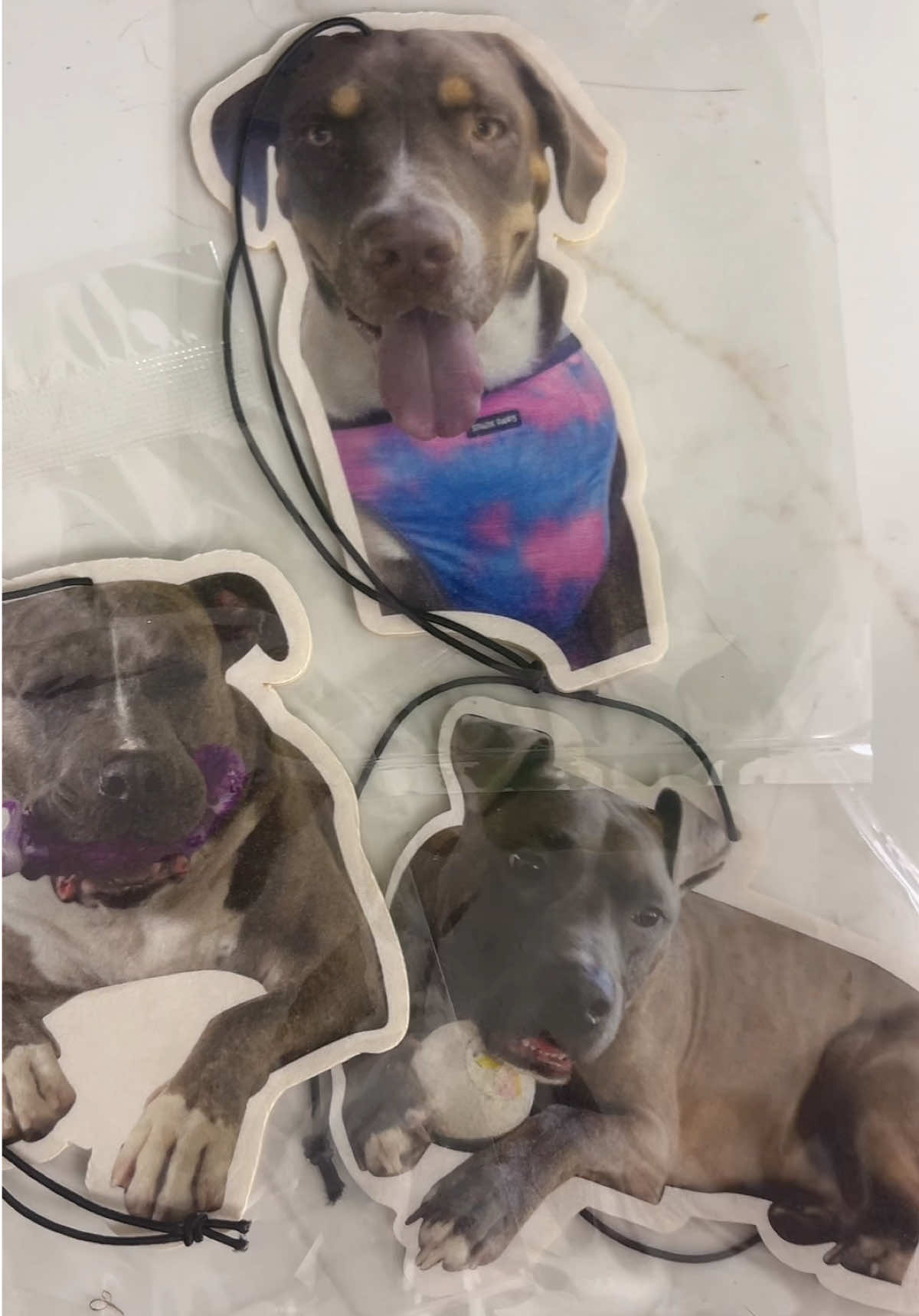 I’m obsessed with @Customfreshies #customfreshies #custom #freshies #carairfreshener #carairfresheners #customized #foryou #deals #dealsfordays #dealsforyou #tiktokshopfinds #tiktokshop #tiktokshopdeals #tiktokshopsummersale #tiktokshopsummerturnup #dogs 