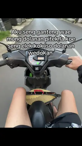 Ra sopan blas #peternakmuda #ayambangkoksuper #apetasor #infoabaranmaseeh #masukberandafyp #fyp #4u 