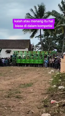kalah atau menang itu hal biasa di dalam kompetisi #motifator #pacuankuda #fyp #videoviral 