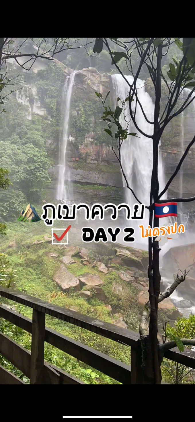 Day 2| ภูเขาควาย…มันก็ยังไม่ช่ายย 🤣 #ภูเขาควาย #ภูเขาควายดินแดนถิ่นลี้ลับแห่งเมืองลาว #ປ່າສະຫງວນແຫ່ງຊາດພູເຂົາຄວາຍ #ປະເທດລາວ #เดินป่า #trekking #travel 