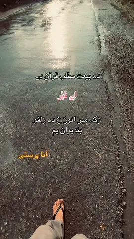 حق بادشاہ میر انورّ سید دے 🙌❤️۔ دہ ٹولے دنیا بادشاہ