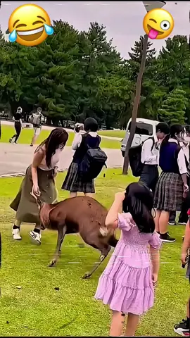 Buồn cười 🤣#Funny#funnyvideos#funnyvideo#funnymoments#foryou #foryoupagr #fails #failarmy #fpy #fpy #laugh #viral #viralvideo #prank #haha #trol #😃😃 #😝😝😝 