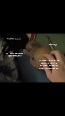 я скучаю ричюнь 🙁🙁#recommendations #котик 