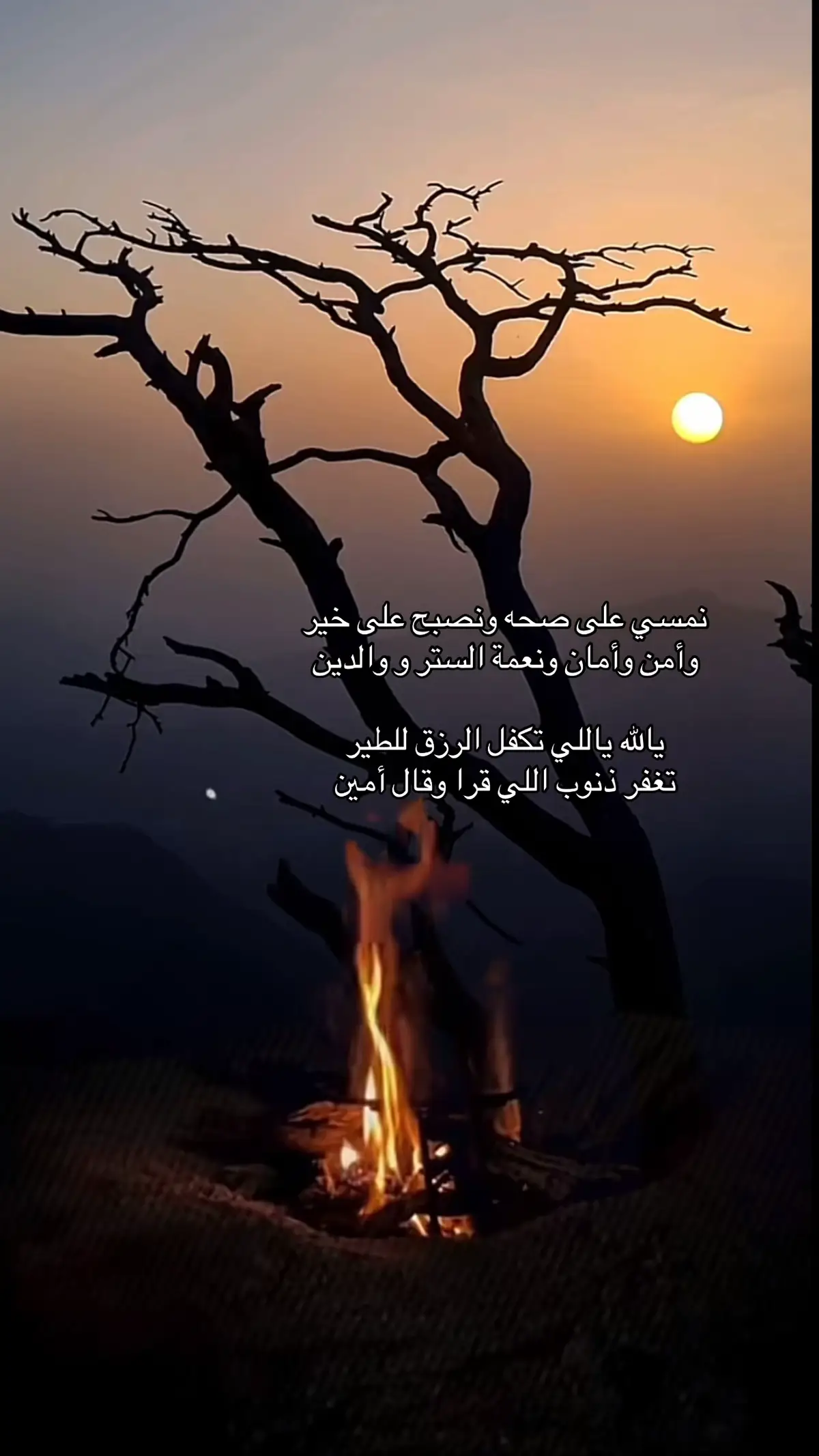 #قصائد_شعر_عتاب_غزل #fyp #ترند #خواطر #عبارات 